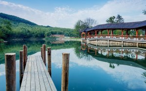 半边山下民宿村