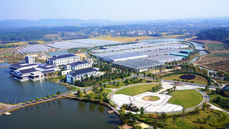 五星级乡村旅游区