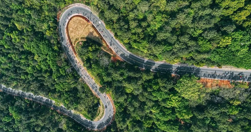 乐道金坛