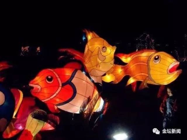 指前鱼灯