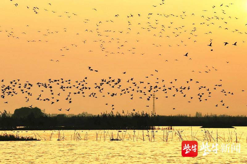长荡湖湿地公园